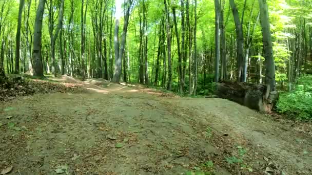 Amador Cavaleiro Bicicleta Parque Primavera — Vídeo de Stock