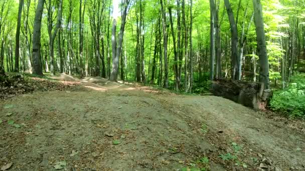 Amateur Jinete Bicicleta Parque Primavera — Vídeo de stock