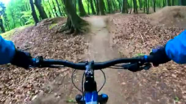 Amateur Jinete Bicicleta Parque Primavera — Vídeos de Stock