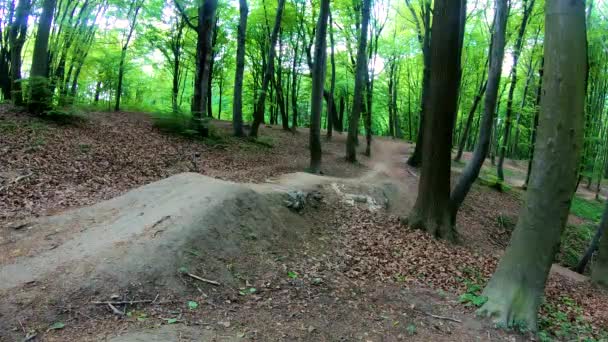 Аматорський Гонщик Велосипеді Весняному Парку — стокове відео