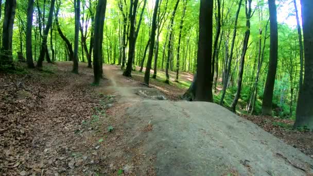 Amador Cavaleiro Bicicleta Parque Primavera — Vídeo de Stock