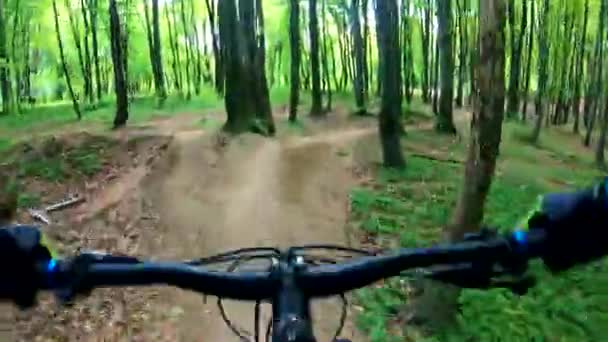 Amateur Jinete Bicicleta Parque Primavera — Vídeos de Stock