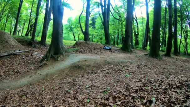 Amateur Jinete Bicicleta Parque Primavera — Vídeo de stock