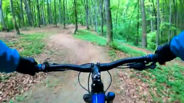 Bahar Parkında Bisiklet Süren Amatör Bir Binici — Stok video