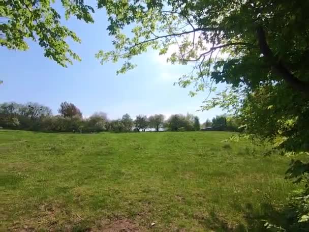 Un jardin de pommiers fleurissant au printemps 