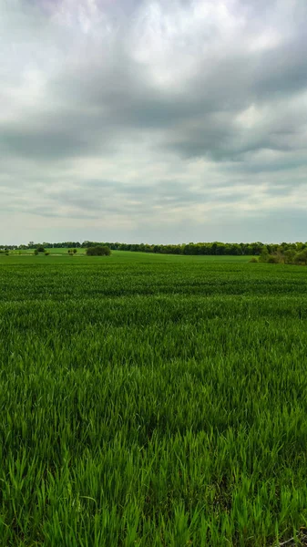 Paisagem Campo Agricultura Estação Primavera — Fotografia de Stock