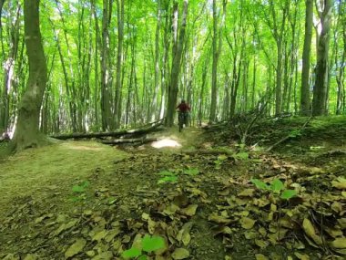 Bahar parkında bisiklet süren amatör bir binici.