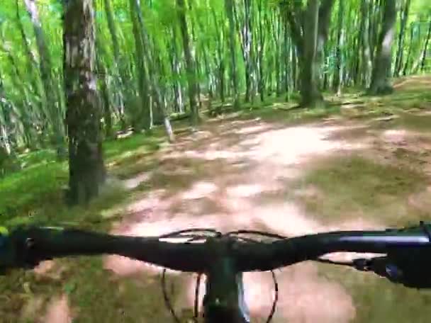 Amatőr Bicikliző Tavaszi Parkban — Stock videók