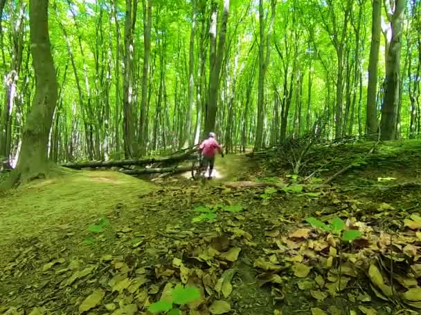 Amatőr Bicikliző Tavaszi Parkban — Stock videók