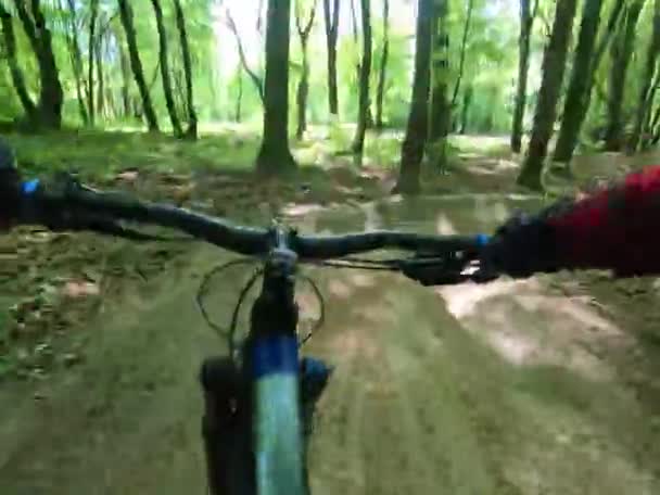 Amateur Rijder Fiets Het Voorjaarspark — Stockvideo