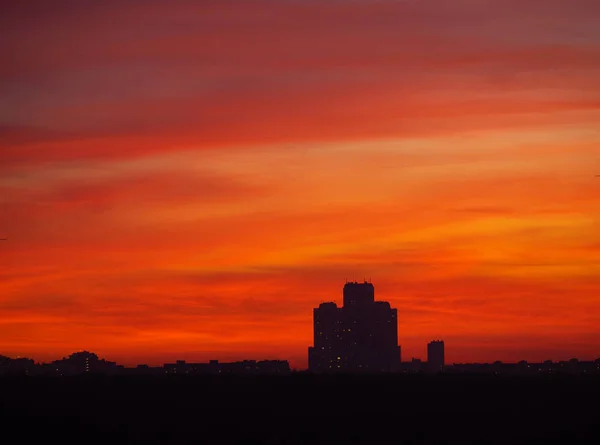 Silueta Torre Rascacielos Sobre Bosque Oscuro Atardecer Cielo Tono Naranja — Foto de Stock