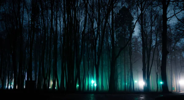 Mystérieuses Lumières Dans Parc Nuit Temps Brumeux Lampes Rue Lointaines — Photo