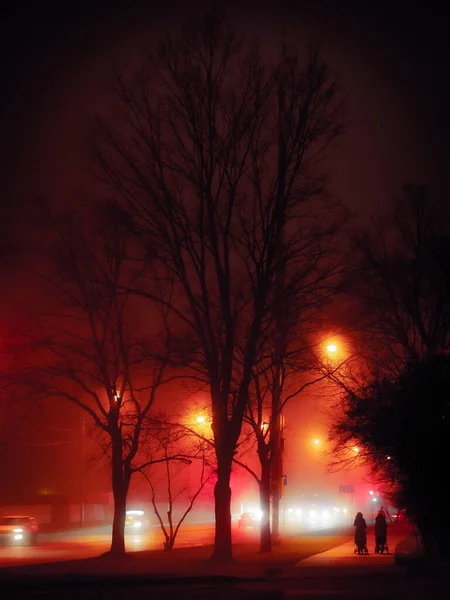 多雾的夜街 车灯灯火通明 城市的灯在夜晚 公路附近的黑树轮廓 长期暴露镜头 — 图库照片