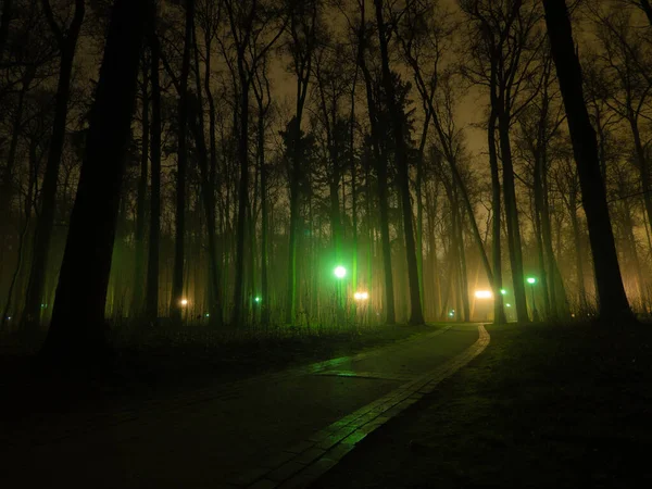 Sisli havada, gece parkında yürüyüş yolu eski moda fenerlerle aydınlatılıyor. Parktaki uzak sokak ışıkları ve ön plandaki ağaçlar.