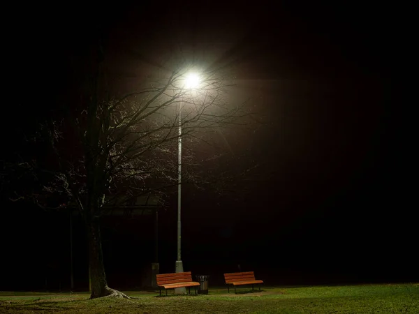 Dos Bancos Vacíos Bajo Una Lámpara Parque Solo Por Noche Imagen De Stock