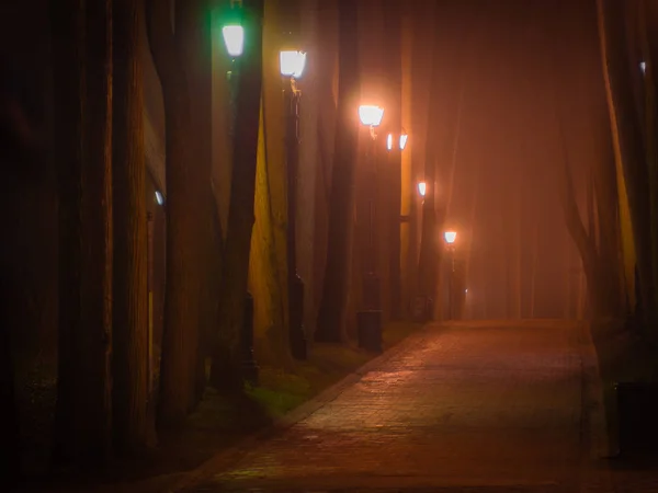 Pasarela Parque Nocturno Tiempo Brumoso Iluminado Por Linternas Anticuadas Farolas Imágenes de stock libres de derechos