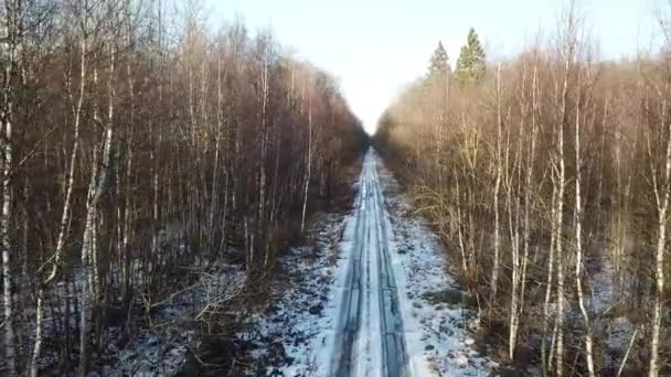 Vista Aerea Della Foresta Primaverile Della Strada Percorso Circondato Alberi — Video Stock