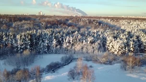 Foresta Invernale Nevosa Nella Megapoli Con Tempo Soleggiato Vista Aerea — Video Stock