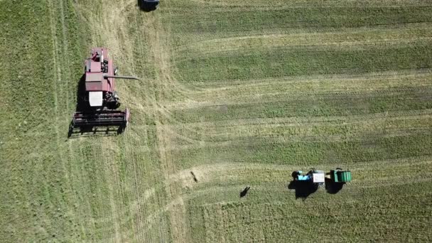 Aerial Drone View Farm Work Grain Harvesting Blue Truck Pulls — ストック動画