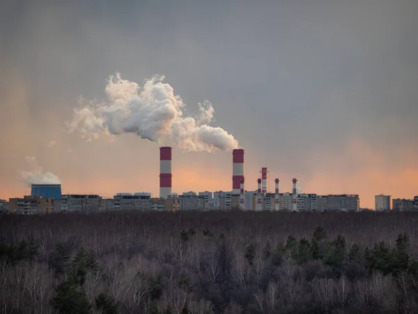 Cityscape silhouette with clouds of smoke from smoking chimneys of thermal power station and pipes of the industrial plant and forest on foreground