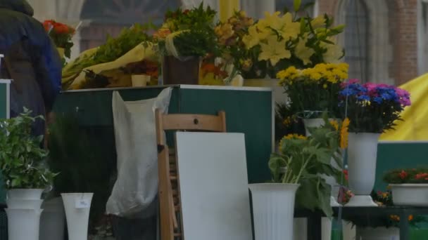 Βροχή σε αγορά λουλουδιών — Αρχείο Βίντεο