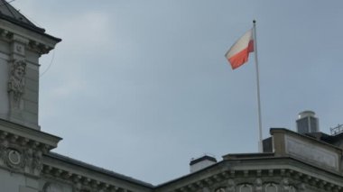 Kutup Polonya bayrağı