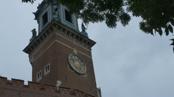 Сигізмунд башта годинника в Кракові — стокове відео