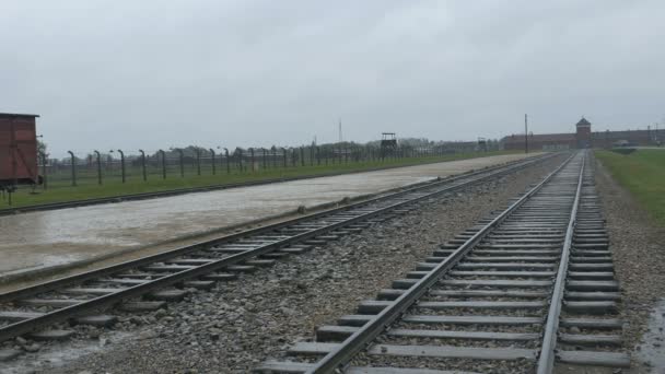 Pistas de ferrocarril en el campamento de Birkenau — Vídeo de stock