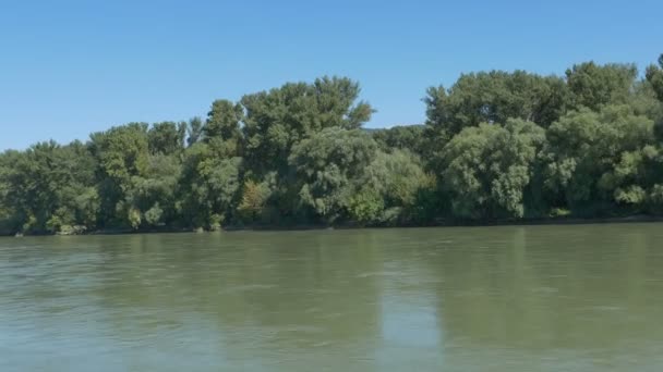 Forests on the Banks of Danube in Slovakia — Stock Video