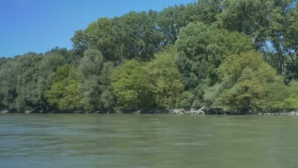 Březích Dunaje motorovým člunem — Stock video