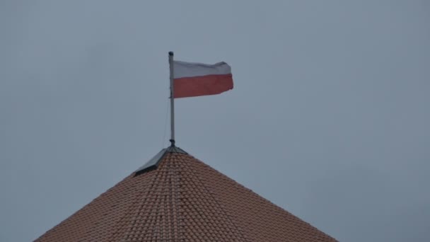 Bandera de Polonia en el mal tiempo — Vídeo de stock