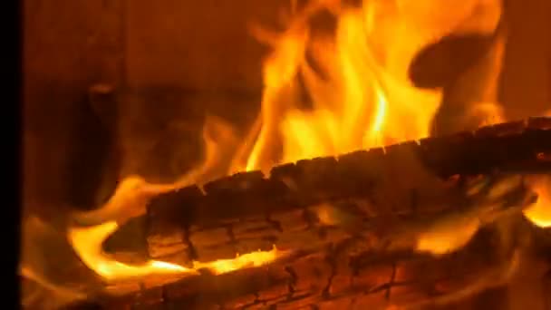 Brennendes Holzfeuer im Ofen — Stockvideo