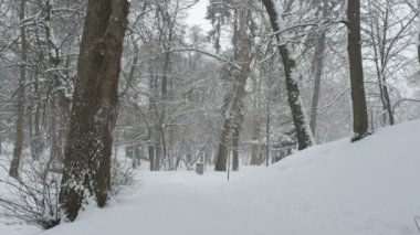 parkta kar yağışı