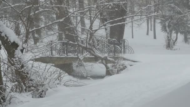 下雪了公园桥 — 图库视频影像