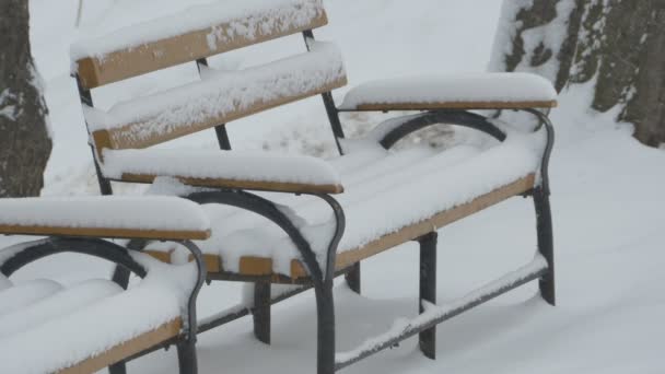 Nevando no banco no parque — Vídeo de Stock