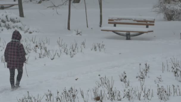 Mujer caminando por el parque de nieve — Vídeo de stock