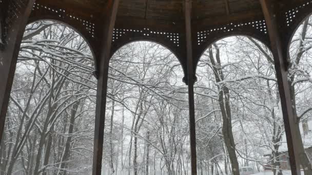 Сніг на деревах Дерев'яне будівництво — стокове відео