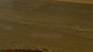 Kan mutfak bıçağı