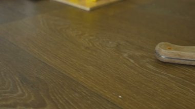 Kanlı cinayet bıçağı