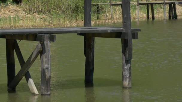 Ponton auf dem See — Stockvideo