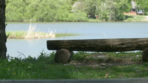 Wooden Bench near the Lake — Stock Video