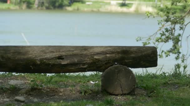 Banc rustique près du lac . — Video