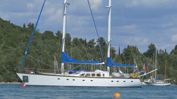 Bateau ancré blanc — Video