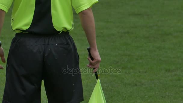 Footbal Referee on Pitch — Stock Video