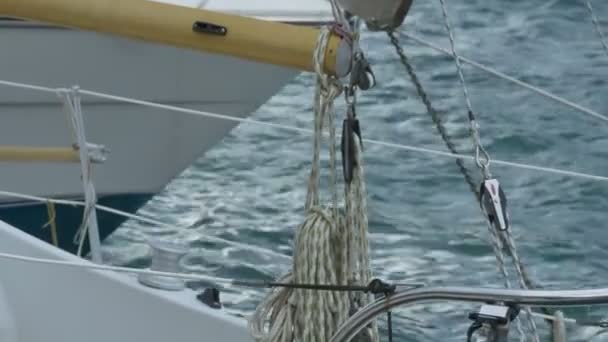Морской ястреб и веревки — стоковое видео