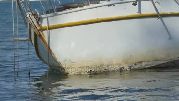 Naufrage de l'eau de mer — Video