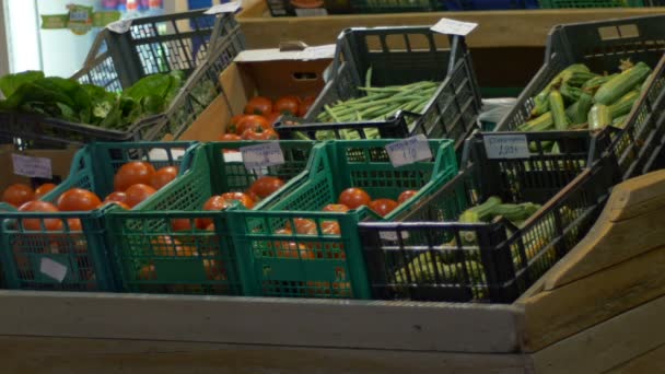 Estandes de legumes no mercado — Vídeo de Stock