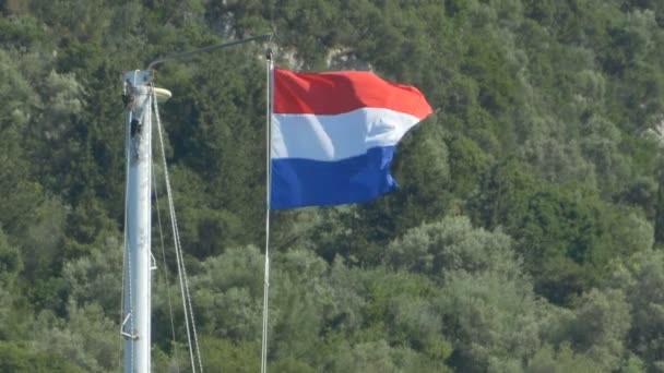 荷兰国旗在桅杆上 — 图库视频影像