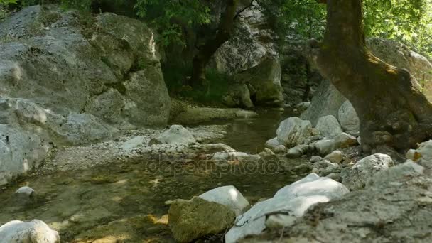 Río Montaña en Grecia — Vídeos de Stock