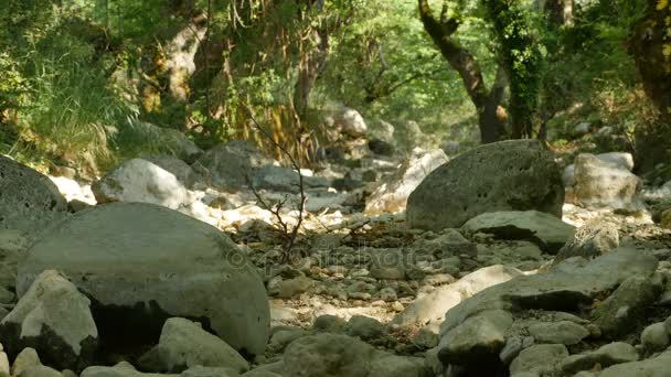 Droge rotsen op rivierbedding — Stockvideo